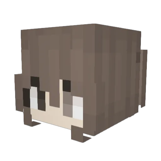 prettycutegirl Minecraft avatar head, 3D render
