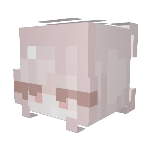 prettycvvnttt Minecraft avatar head, 3D render