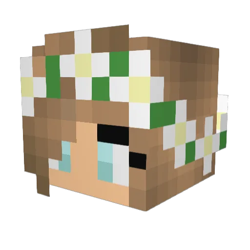 prettyflackoali Minecraft avatar head, 3D render