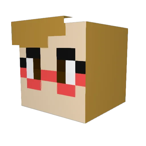 prettyjeny95 Minecraft avatar head, 3D render
