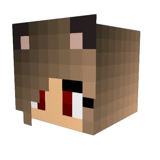 prettykitty75 Minecraft avatar head, 3D render