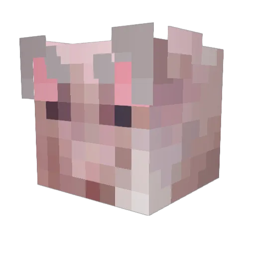 prettymuch_misia Minecraft avatar head, 3D render
