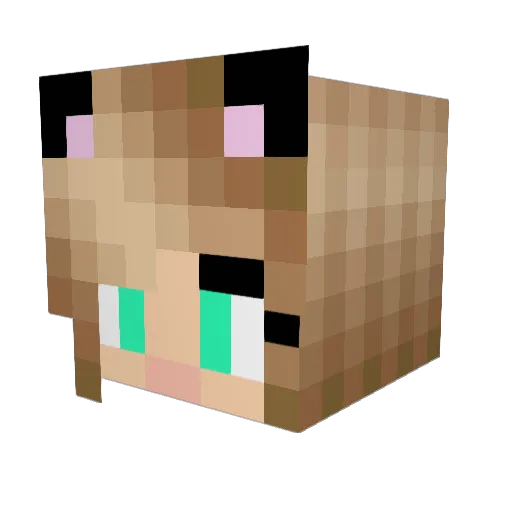prettypastel224 Minecraft avatar head, 3D render