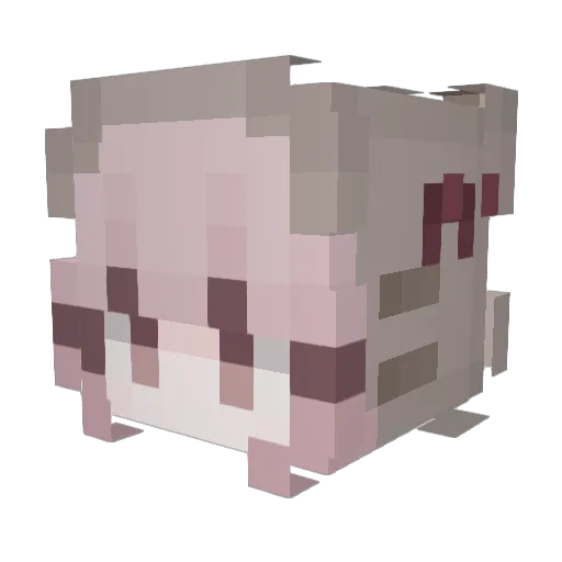 prettypromises Minecraft avatar head, 3D render