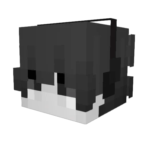 prettyroom Minecraft avatar head, 3D render