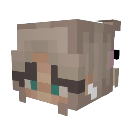 prettyshrimp Minecraft avatar head, 3D render