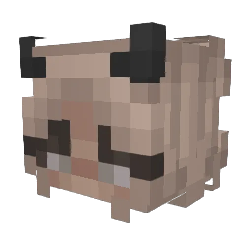 prettythoughtss Minecraft avatar head, 3D render