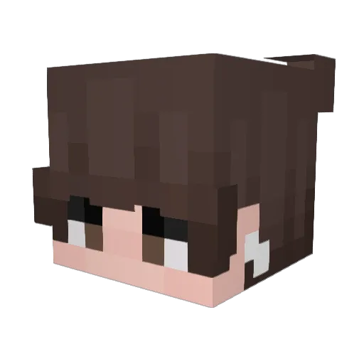 prettyvisitorss Minecraft avatar head, 3D render