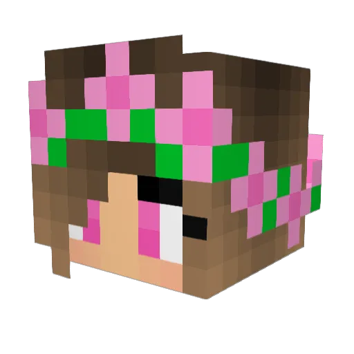 pretzeleater152 Minecraft avatar head, 3D render