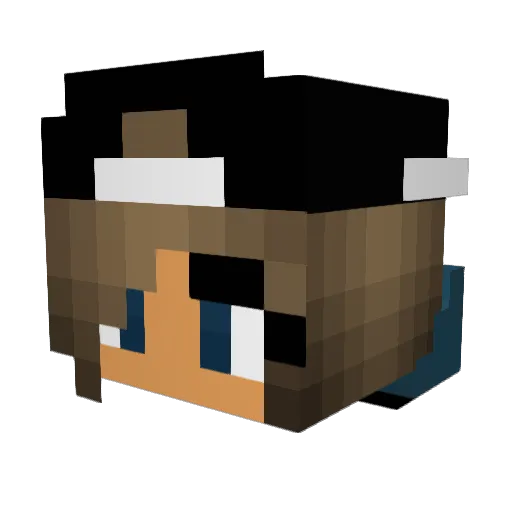prgr1 Minecraft avatar head, 3D render