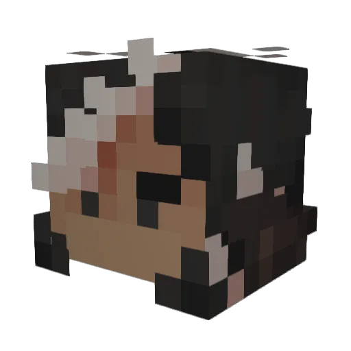 princeofknights_ Minecraft avatar head, 3D render