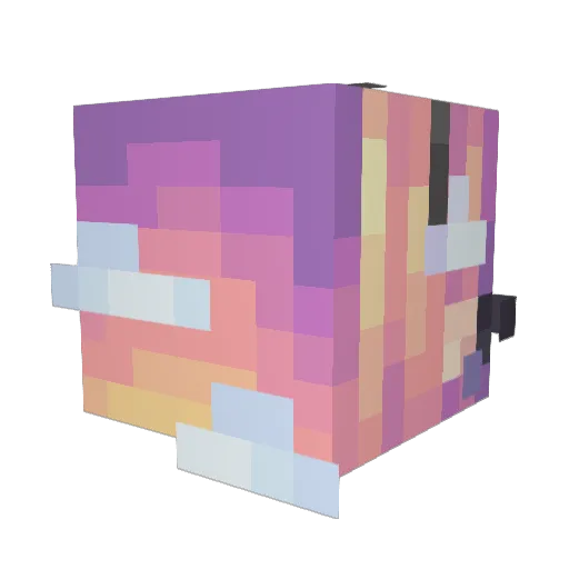 princess1156 Minecraft avatar head, 3D render