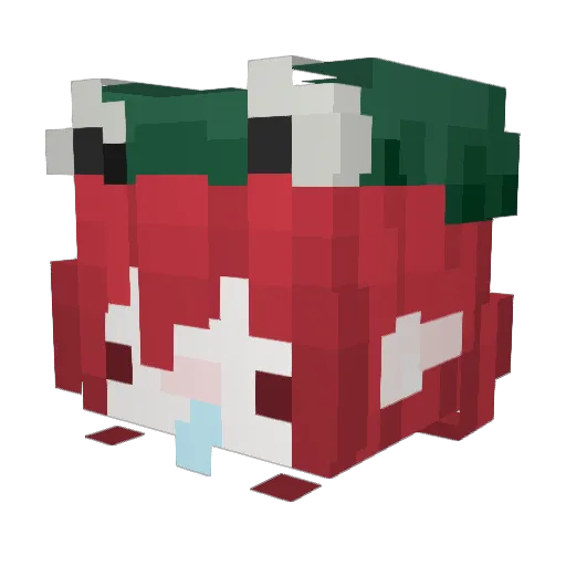 princess_nacho Minecraft avatar head, 3D render