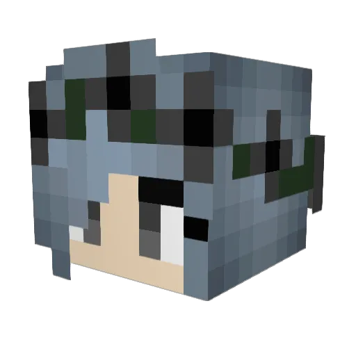 princess_navi Minecraft avatar head, 3D render