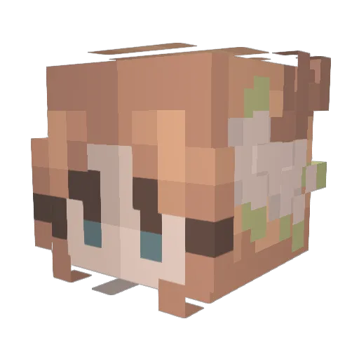 princessbobles Minecraft avatar head, 3D render