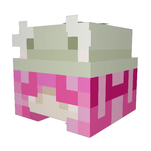 princessbunny97 Minecraft avatar head, 3D render