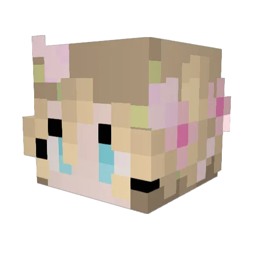 princessgem600 Minecraft avatar head, 3D render