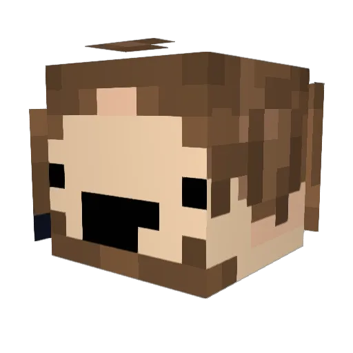 princesshaag Minecraft avatar head, 3D render