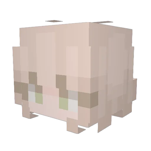 princesskk06 Minecraft avatar head, 3D render