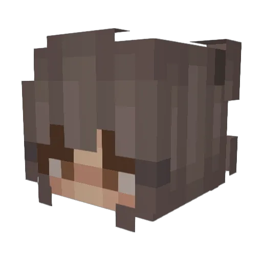 princesslovenes Minecraft avatar head, 3D render