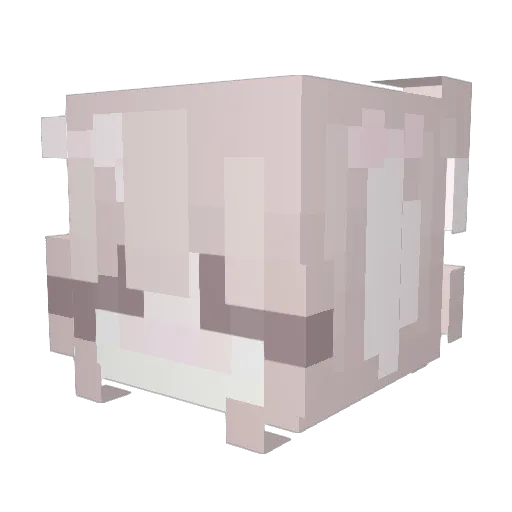princessmenace Minecraft avatar head, 3D render