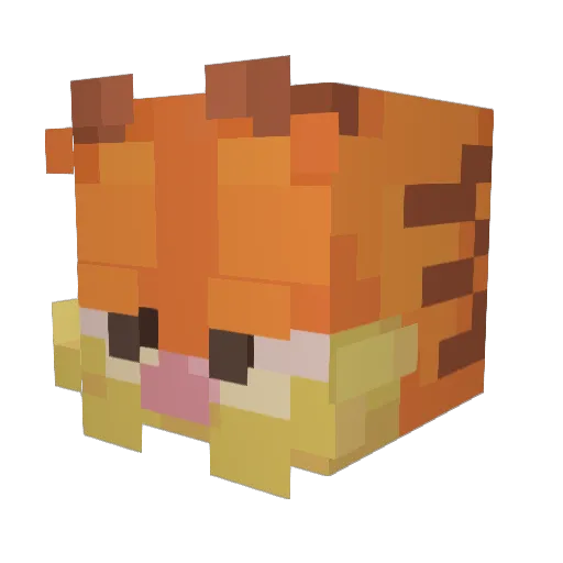 princesspaige Minecraft avatar head, 3D render