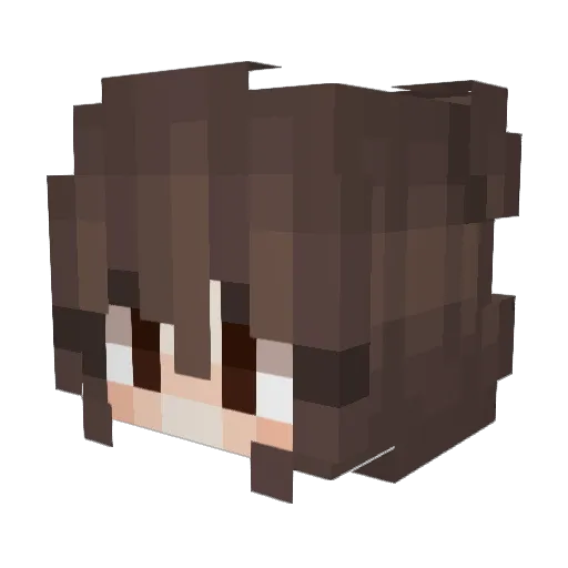 princesspau_ Minecraft avatar head, 3D render