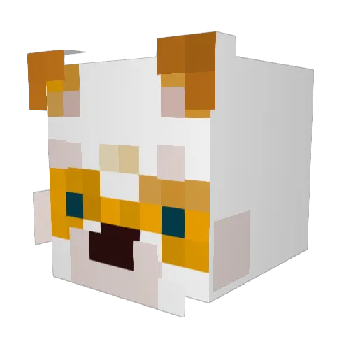 princesspou Minecraft avatar head, 3D render