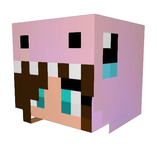 princessreptar Minecraft avatar head, 3D render