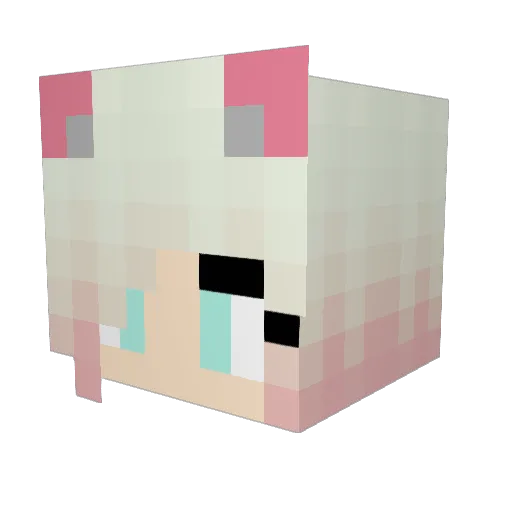 princesssaurora Minecraft avatar head, 3D render