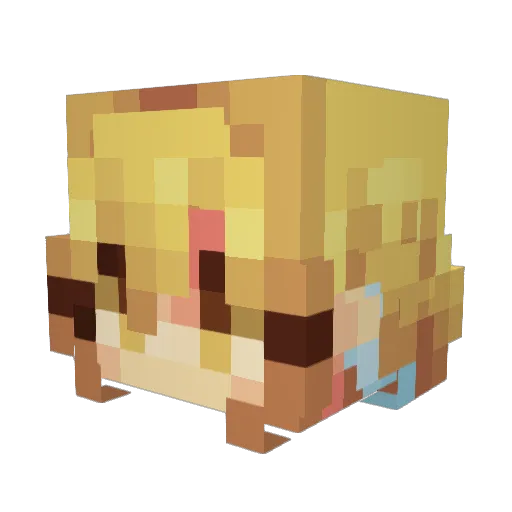 princessxx99 Minecraft avatar head, 3D render