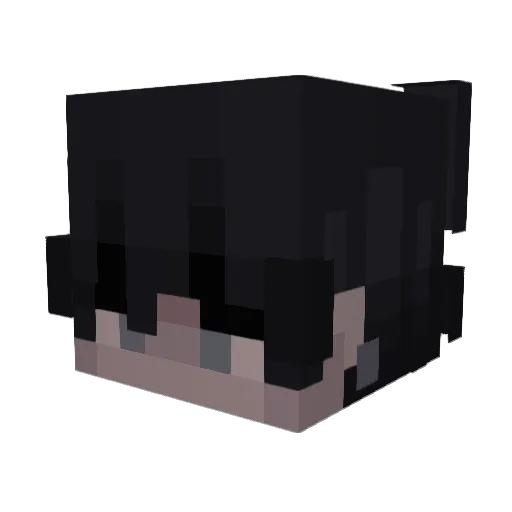pringleman_12 Minecraft avatar head, 3D render