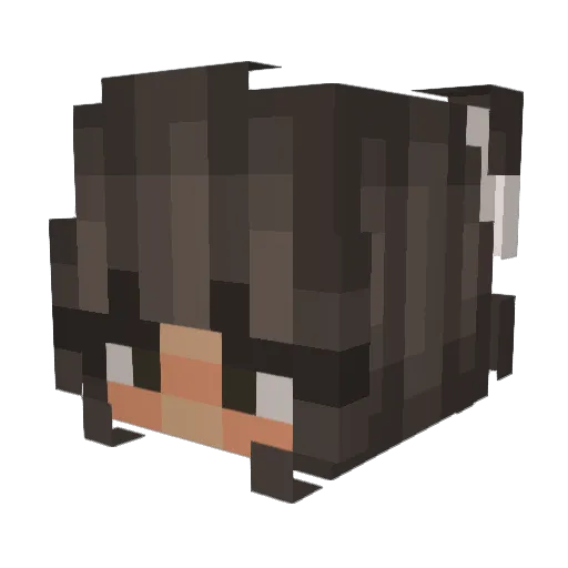 prinsessemolly Minecraft avatar head, 3D render