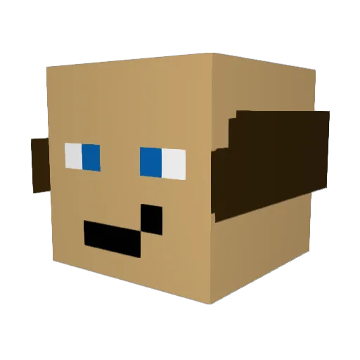 pripputappi Minecraft avatar head, 3D render