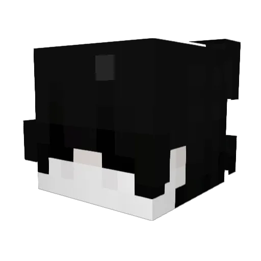 prismdream Minecraft avatar head, 3D render