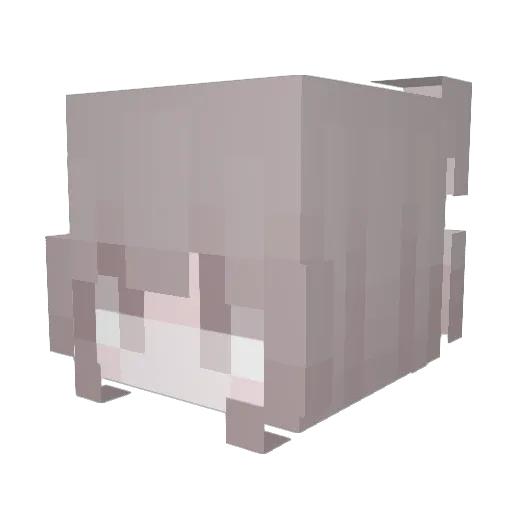 pristinecat2019 Minecraft avatar head, 3D render