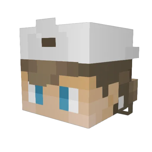 priuslover69 Minecraft avatar head, 3D render