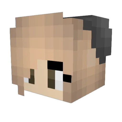 privar Minecraft avatar head, 3D render