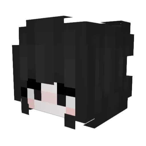 privateCREEPER Minecraft avatar head, 3D render