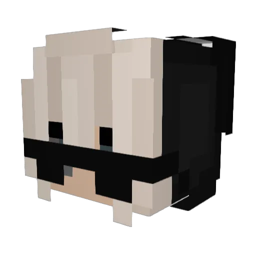private_jet123 Minecraft avatar head, 3D render
