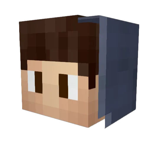 privatepillock Minecraft avatar head, 3D render