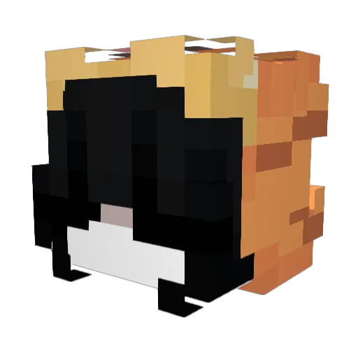 prncesaa Minecraft avatar head, 3D render