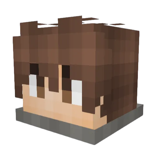 proNPC Minecraft avatar head, 3D render