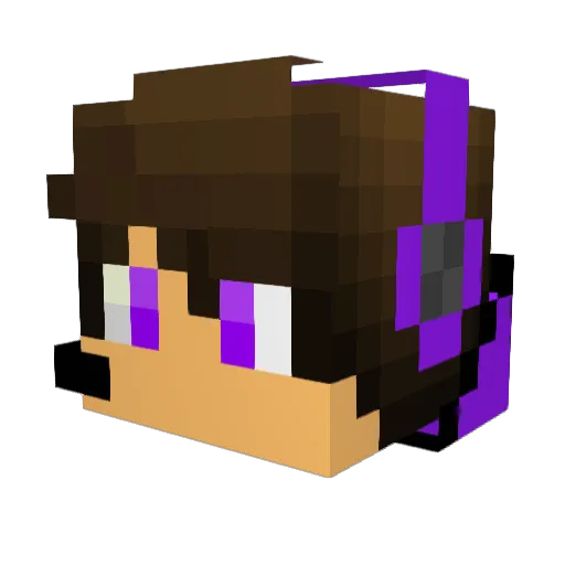 pro__skillz_ Minecraft avatar head, 3D render