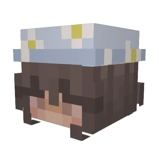 pro_ashley Minecraft avatar head, 3D render