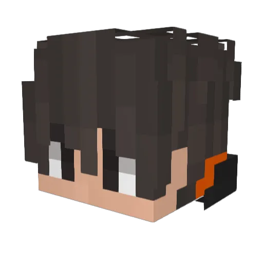 pro_cloth5 Minecraft avatar head, 3D render