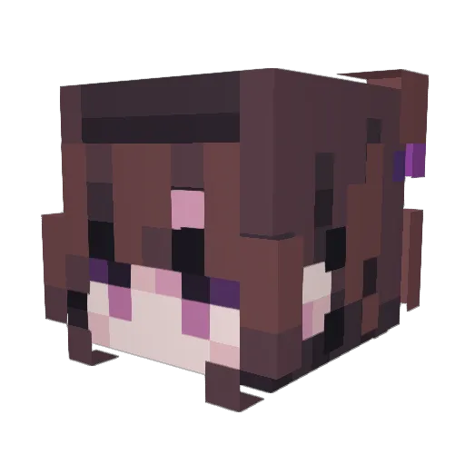 pro_consul Minecraft avatar head, 3D render