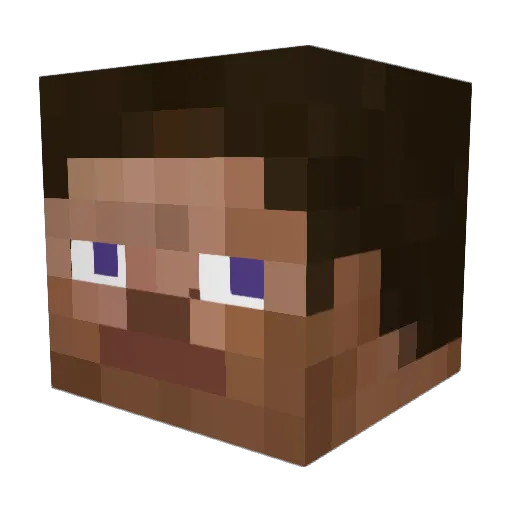 pro_duck Minecraft avatar head, 3D render