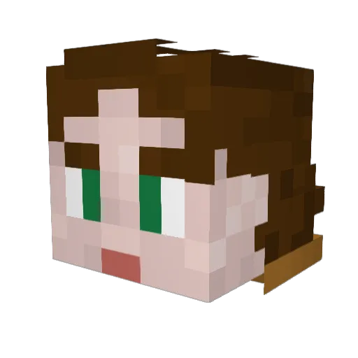 pro_gamer_002 Minecraft avatar head, 3D render