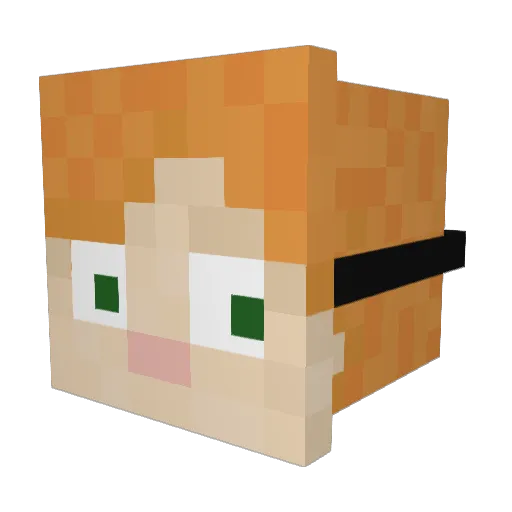 pro_of_noobs Minecraft avatar head, 3D render
